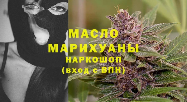 ECSTASY Бородино