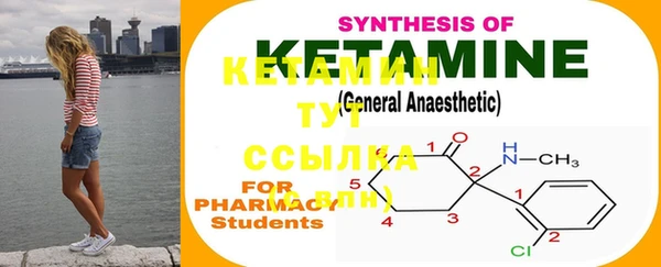 ECSTASY Бородино