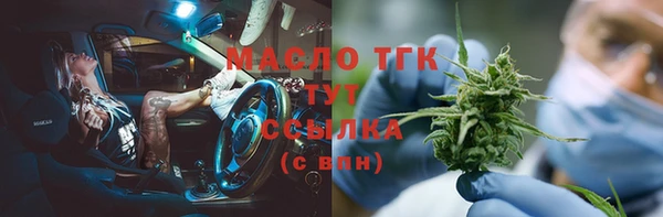 индика Бугульма