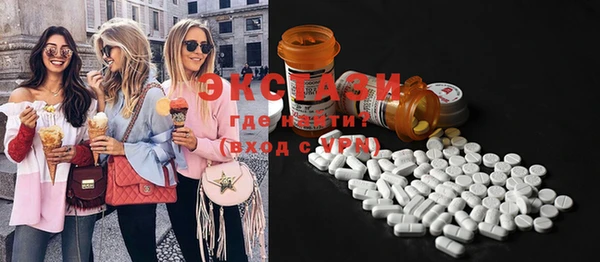 ECSTASY Бородино