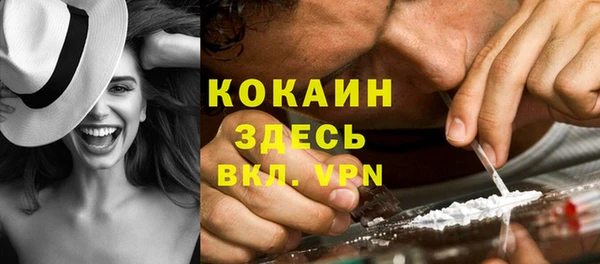 индика Бугульма