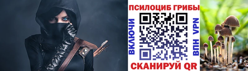 Галлюциногенные грибы мицелий Кирс